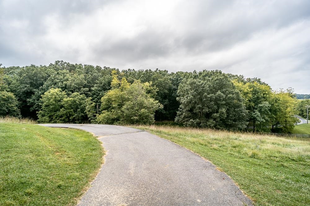 289 Pleasant View Road Staunton, VA 24401 - Photo 35 of 45 a view of a grassy field with trees in the background