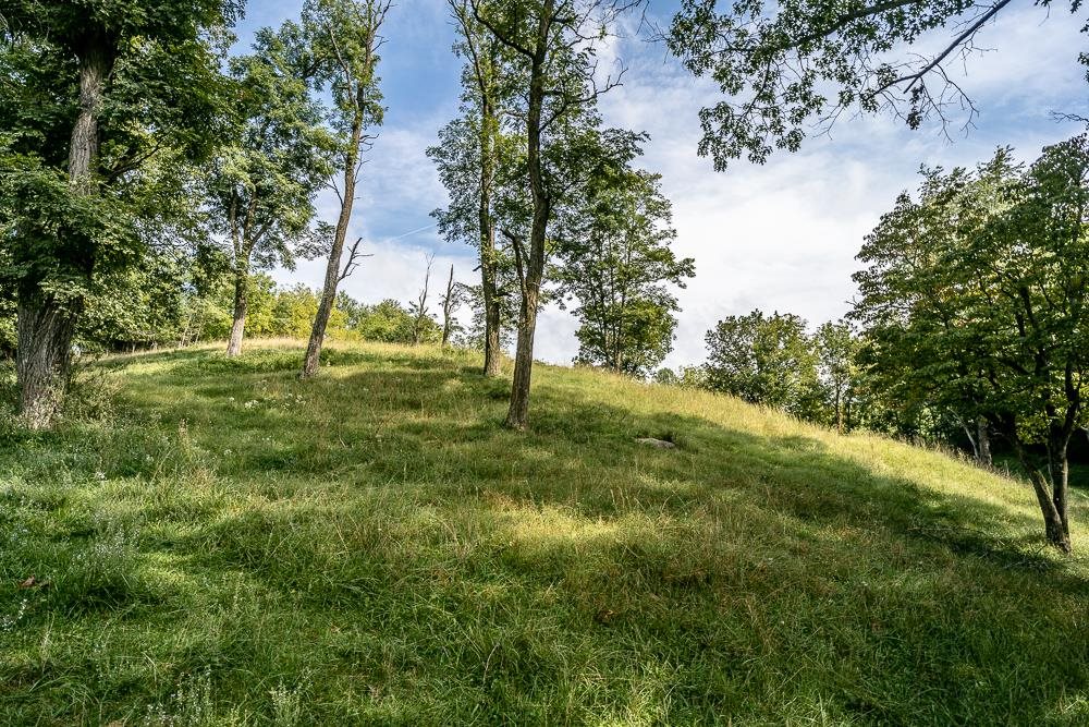 289 Pleasant View Road Staunton, VA 24401 - Photo 45 of 45 a view of an outdoor space and trees