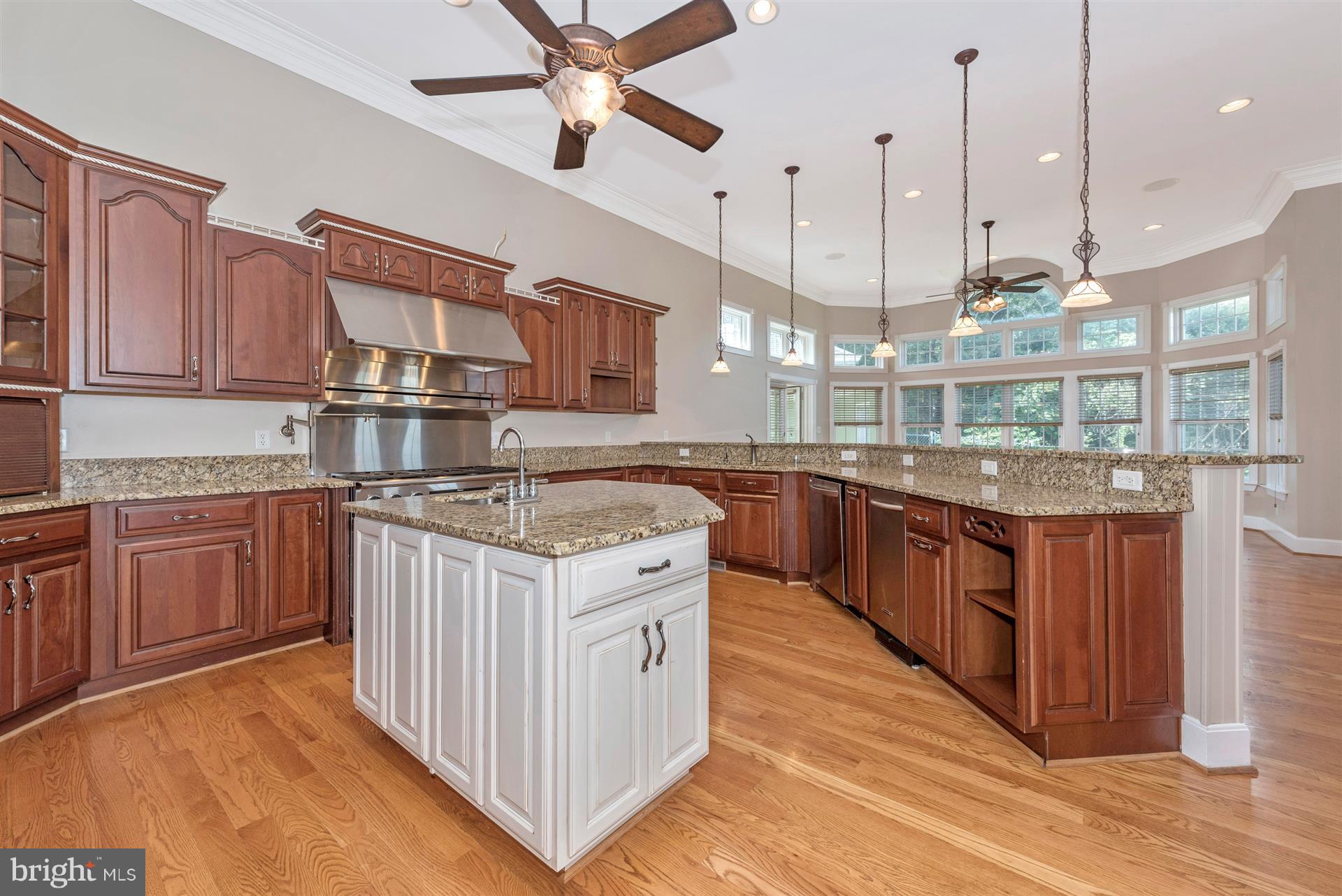 10534 Liberty Road Frederick, MD 21701 - Photo 12 of 49 Gourmet Kitchen
