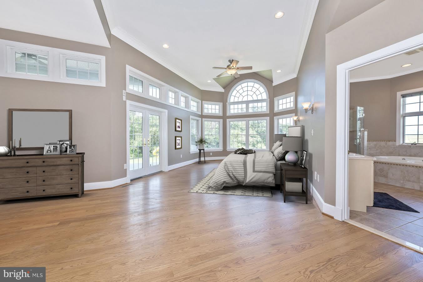 10534 Liberty Road Frederick, MD 21701 - Photo 19 of 49 Master Suite with Gas Fireplace & Walk-In Closet