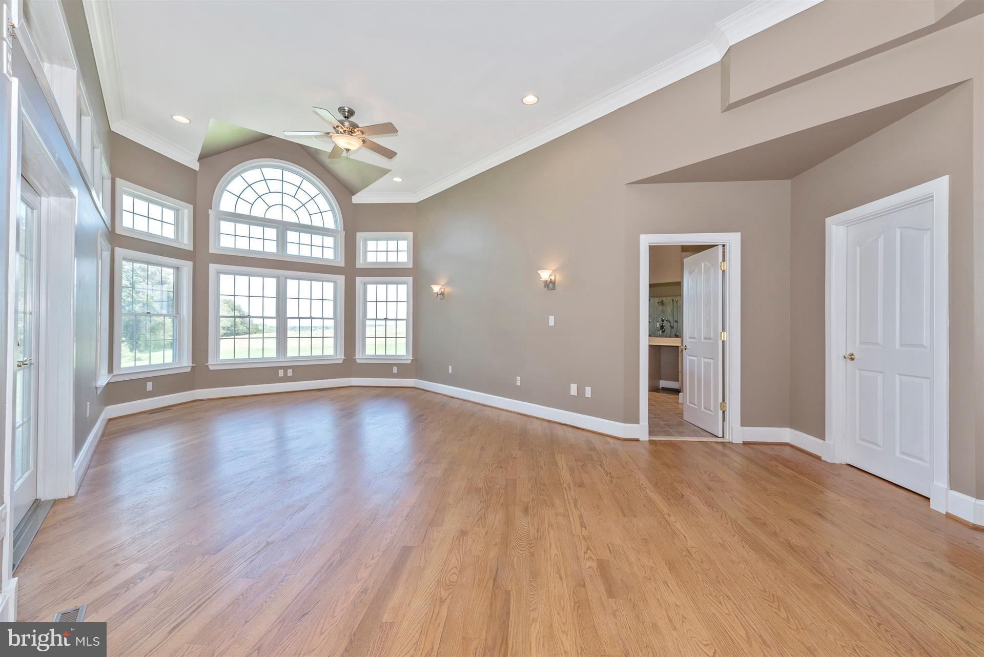 10534 Liberty Road Frederick, MD 21701 - Photo 21 of 49 Master Suite with Gas Fireplace & Walk-In Closet