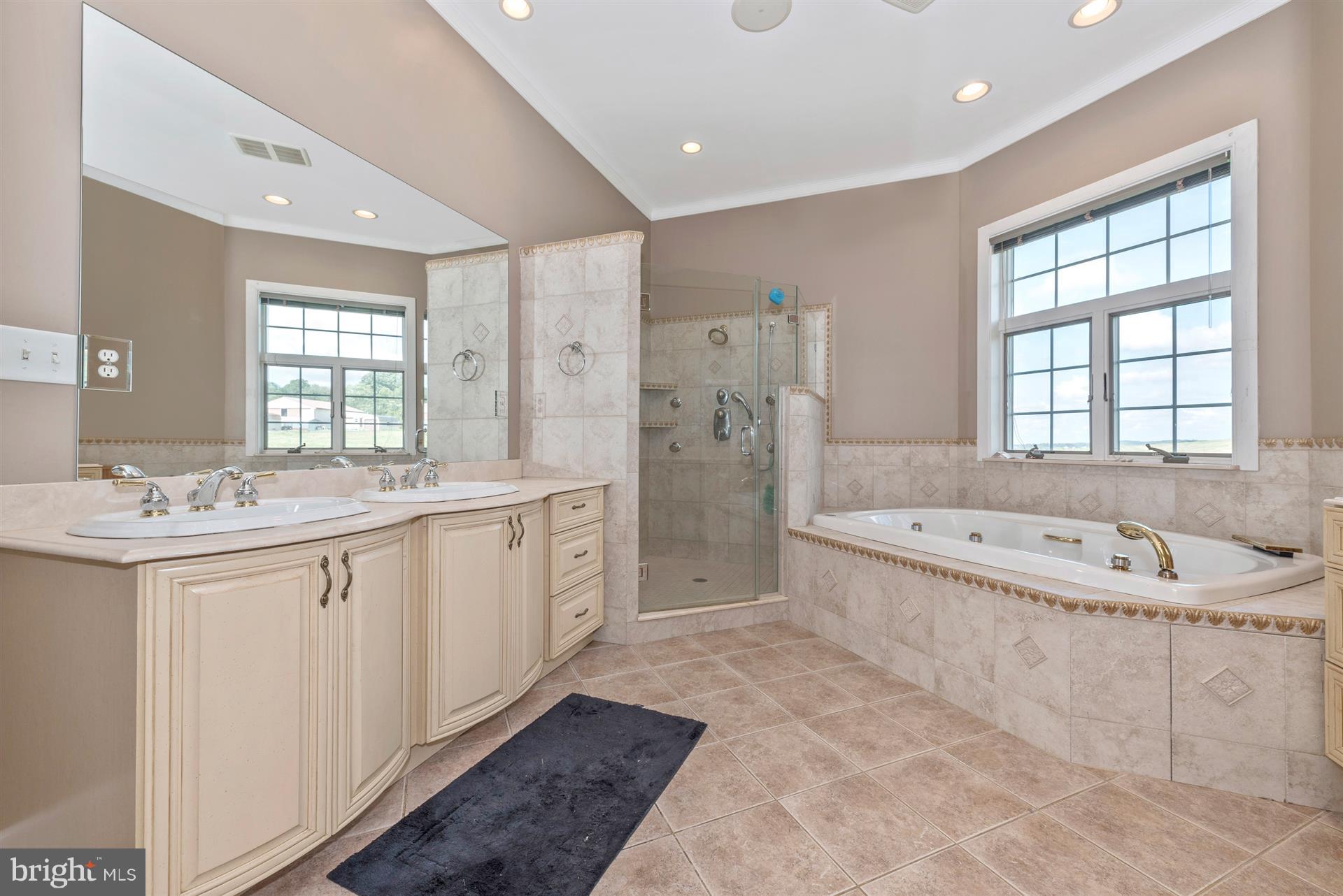 10534 Liberty Road Frederick, MD 21701 - Photo 22 of 49 Master Bathroom with Walk-In Shower & Tub
