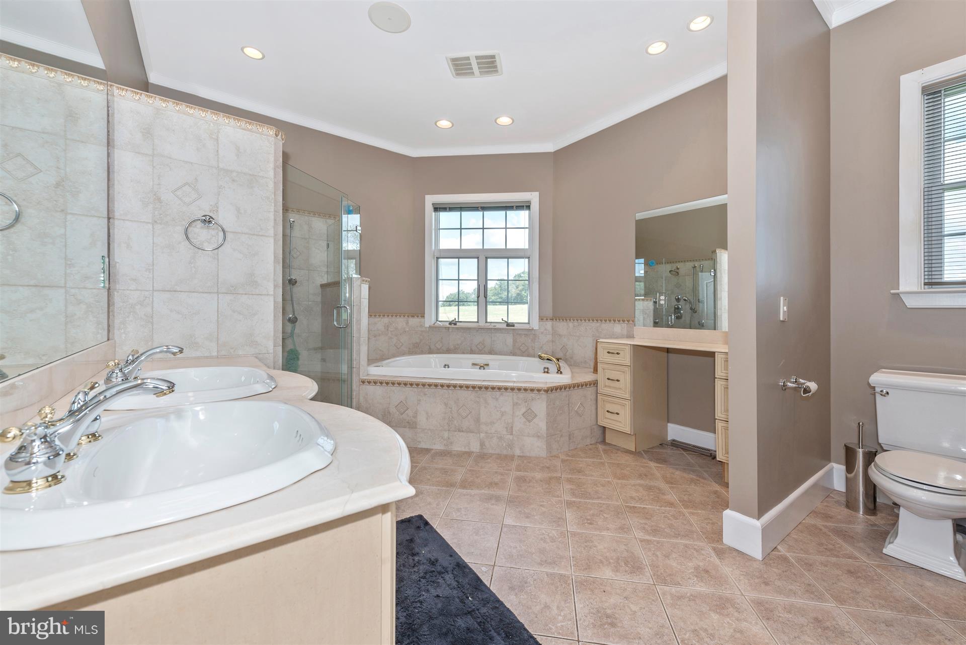 10534 Liberty Road Frederick, MD 21701 - Photo 23 of 49 Master Bathroom with Walk-In Shower & Tub