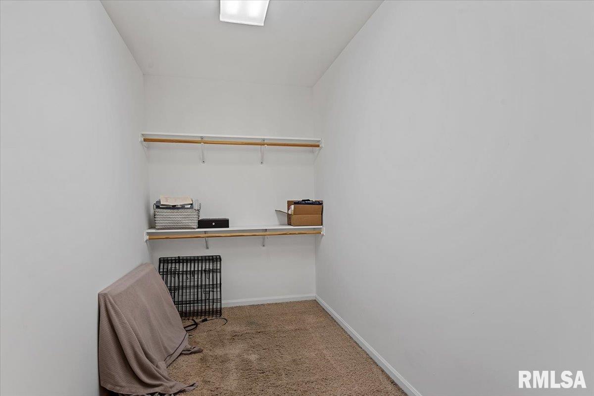 320 Timber Ridge Road Mechanicsburg, IL 62545 - Photo 33 of 57 Gallery Image 33