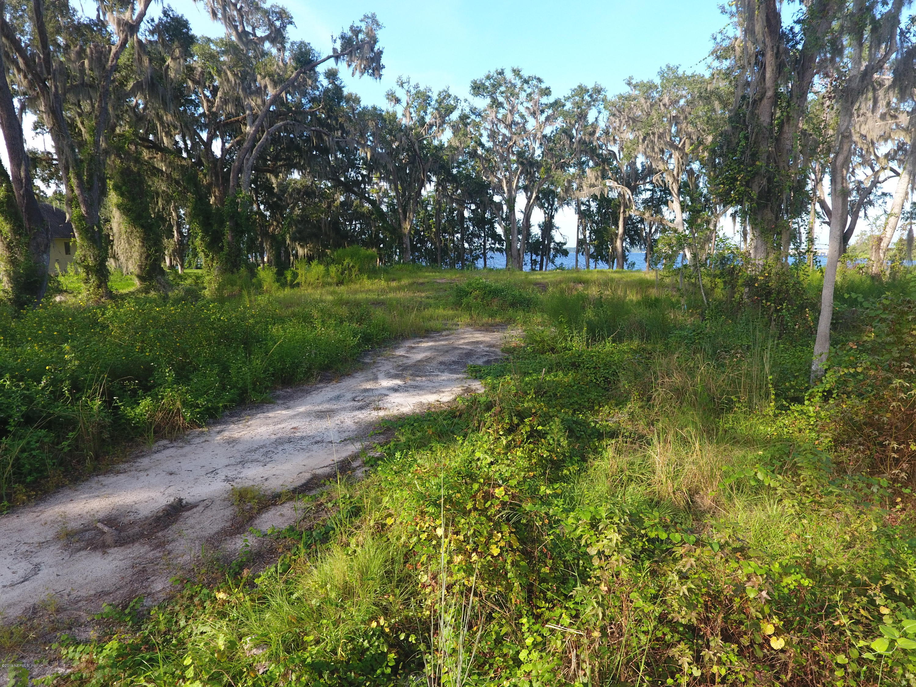 5537 Steamboat Road St. Augustine, FL 32092 - Photo 4 of 9 a view of green field with trees in the background