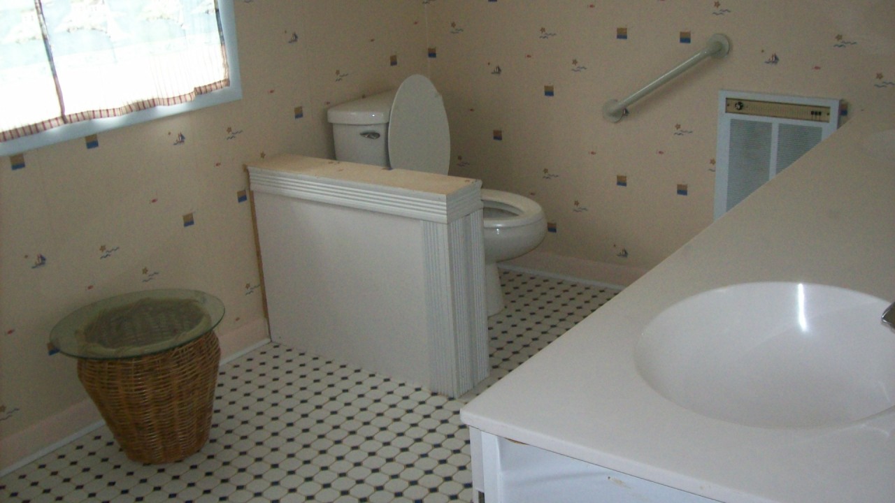 1561 Rock Spring Road Goodview, VA 24095 - Photo 6 of 10 MASTER BATH