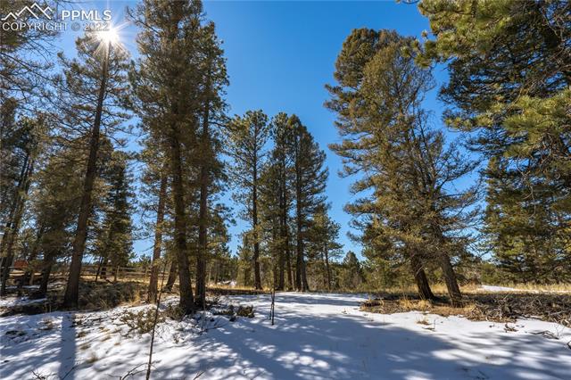 244 Tidi Road Florissant, CO 80816 - Photo 9 of 50