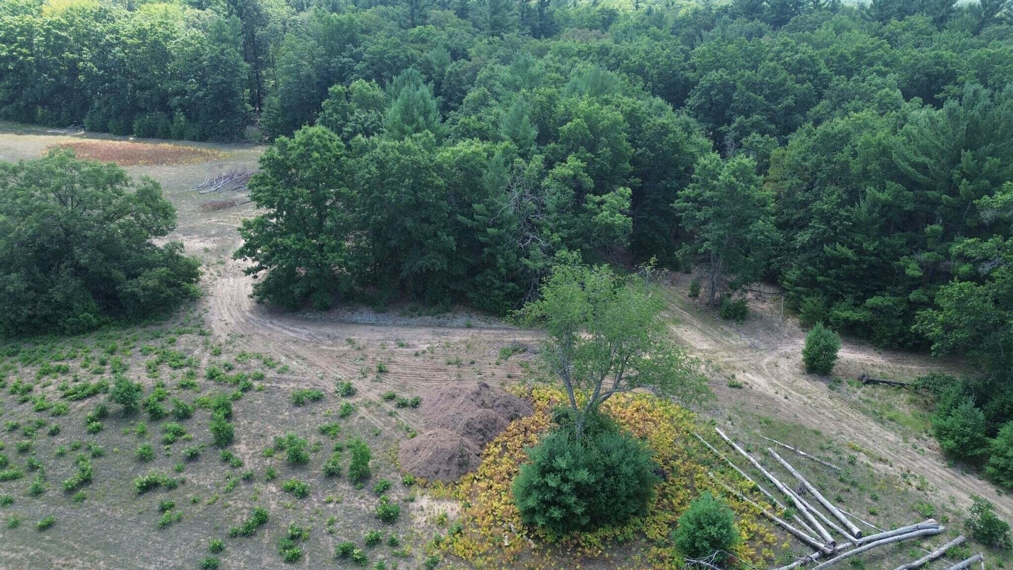 5 5 Mile Road Morley, MI 49336 - Photo 163 of 169 BGES8913