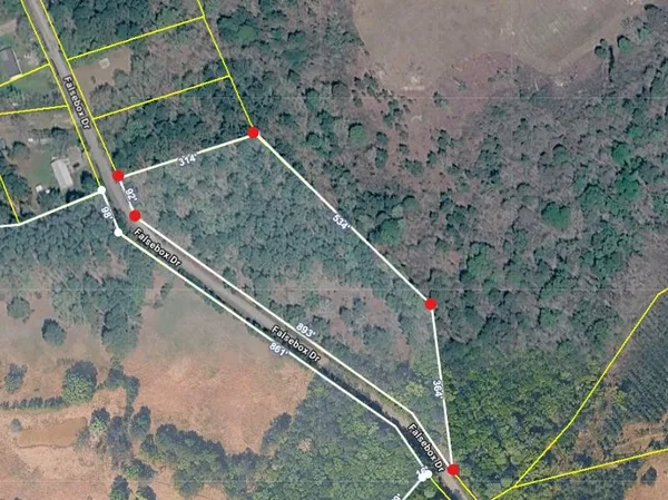 $80,000 | Tbd Falsebox Drive, Hemingway, SC 29554