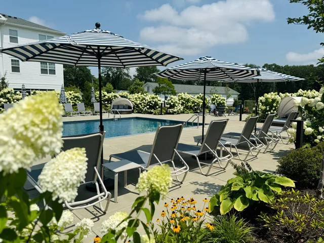a view of a room with shelves and wooden floor