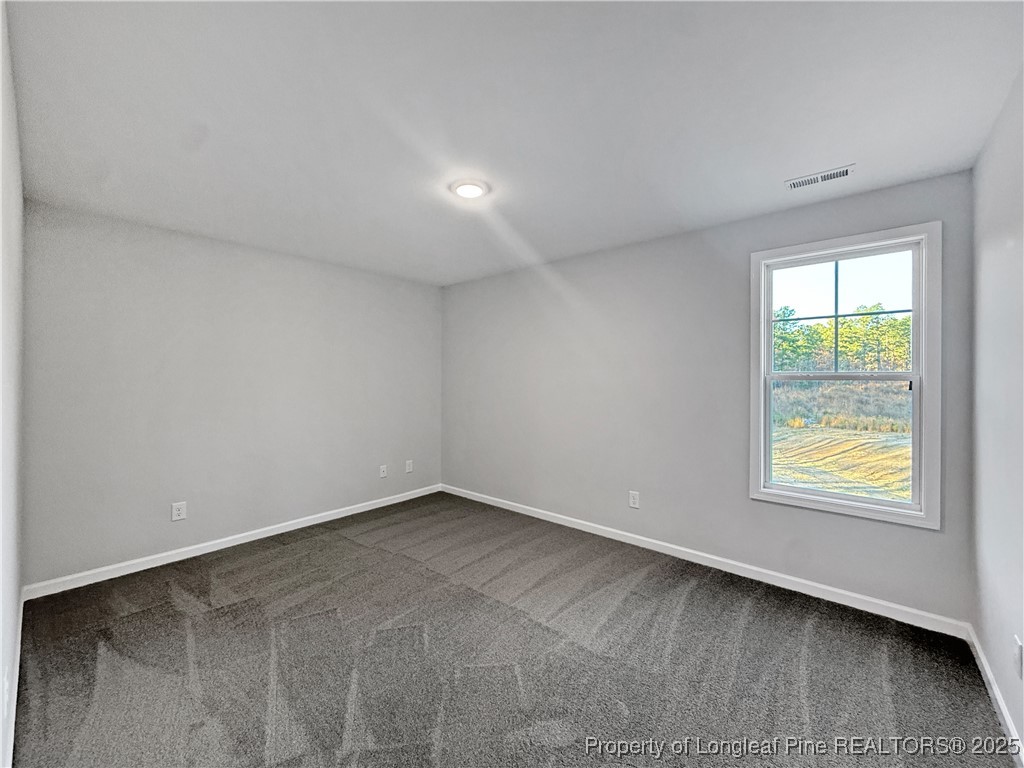 342 Flying Bolt Drive Raeford, NC 28376 - Photo 25 of 30 an empty room with wooden floor and a window