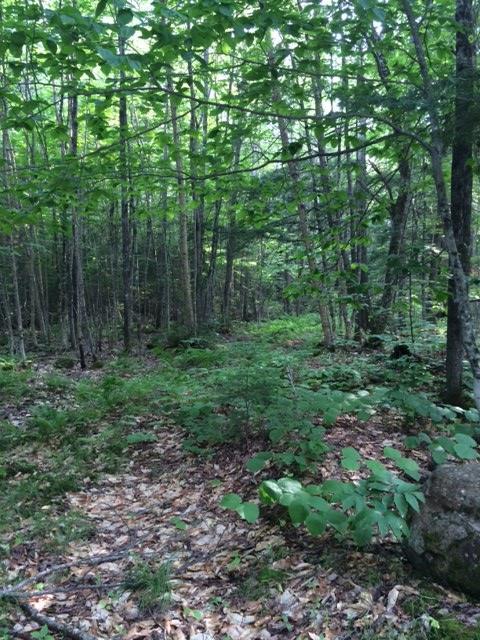 Lot 5 Burbank Hill Road Strong, ME 04983 - Photo 8 of 20 Photo