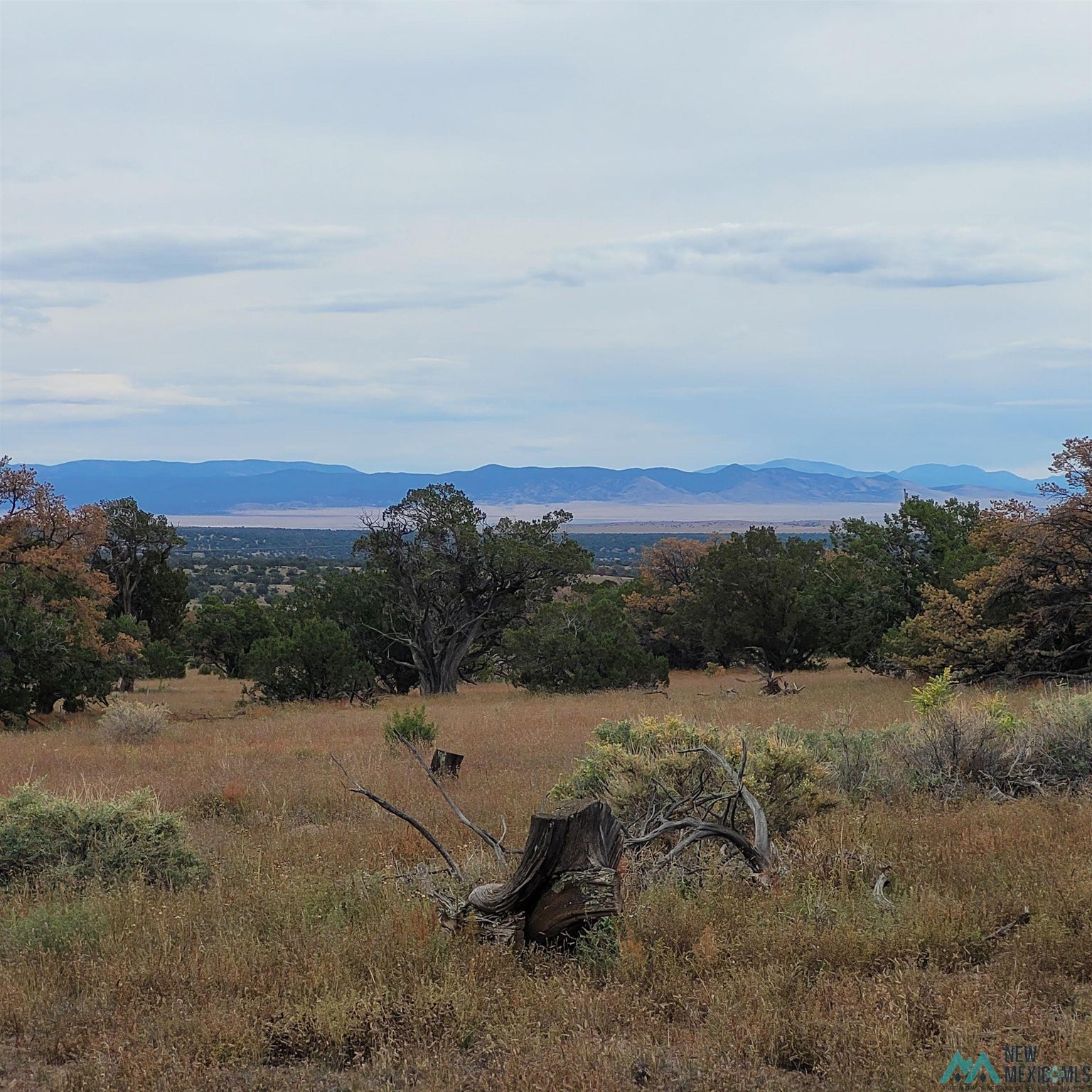 15 Elk Court Datil, NM 87821 - Photo 12 of 17 Gallery Image 12