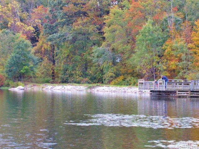 495 Farmers Mills Road Carmel, NY 10512 - Photo 19 of 24 "WHITE POND"Fishing, kayaking, swimming.