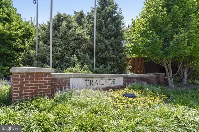 a garden view with plants