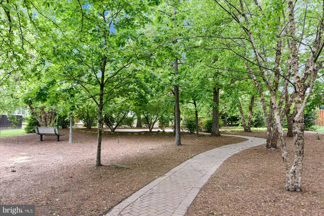 a view of a street with a tree