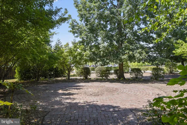 a view of road with trees