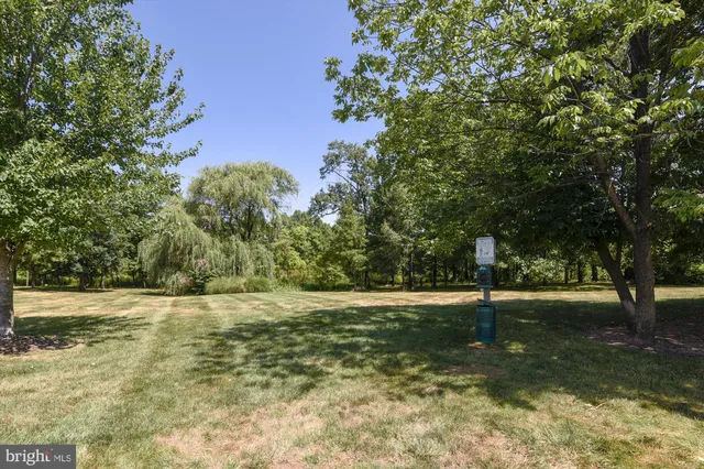 a view of a tree in a yard