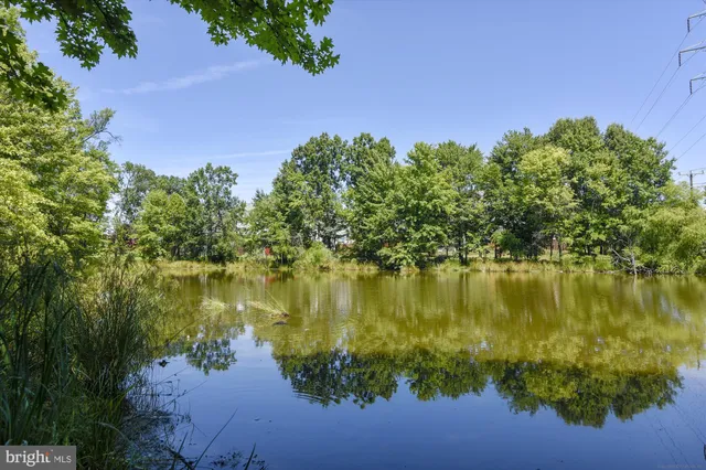 a view of a lake with a building in the background