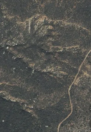 a picture of a dry yard