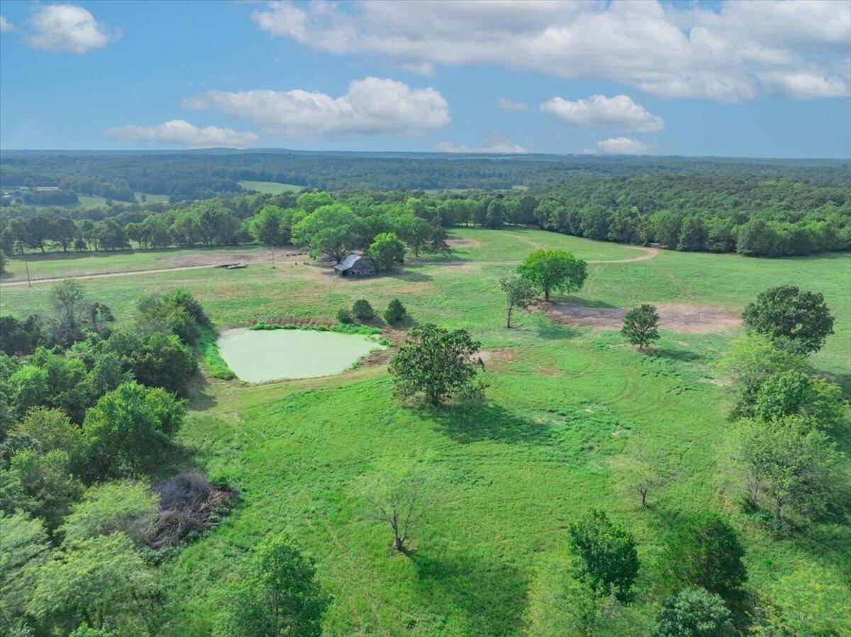 101 Bannon Road Elkland, MO 65644 - Photo 1 of 1 Old homesite
