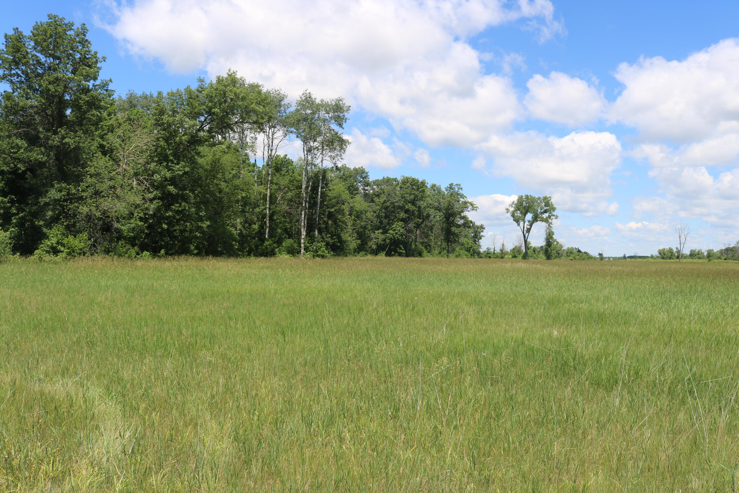 5 5 Mile Road Watertown, WI 53098 - Photo 14 of 17 IMG_1580