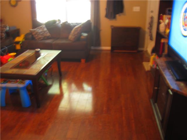 161 Casbah Run Murfreesboro, TN 37128 - Photo 5 of 10
