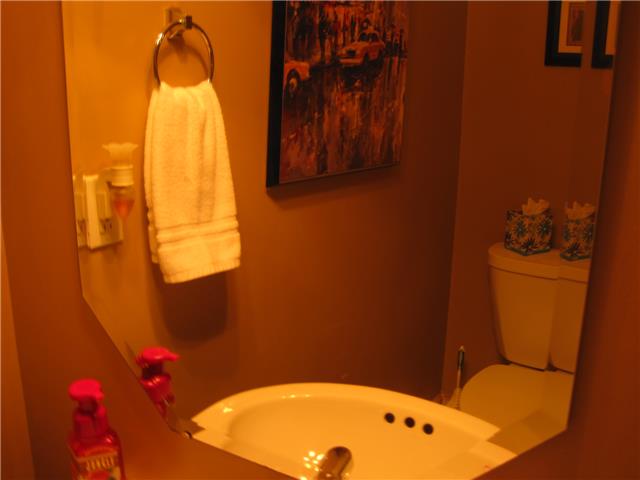 161 Casbah Run Murfreesboro, TN 37128 - Photo 9 of 10