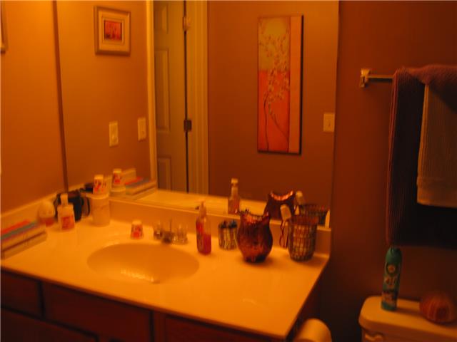 161 Casbah Run Murfreesboro, TN 37128 - Photo 10 of 10