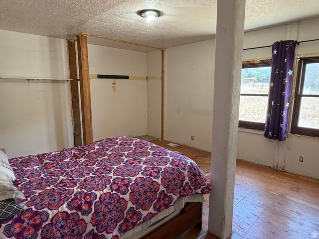 255 E Centre Spring City, UT 84662 - Photo 12 of 31 Room featuring wood-finish flooring, two window openings, and a ceiling-mounted light fixture