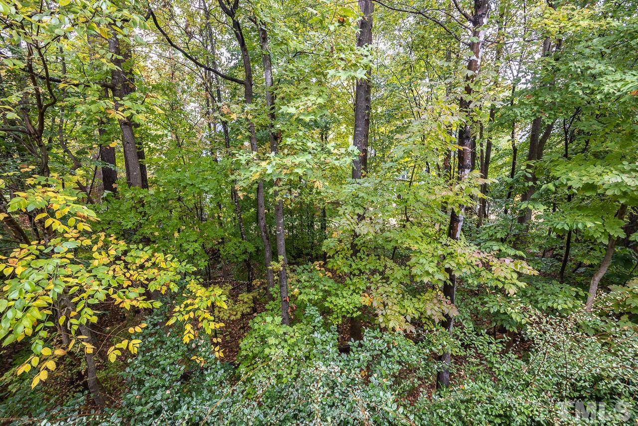4422 Vienna Crest Drive Raleigh, NC 27613 - Photo 26 of 28 a view of a lush green forest