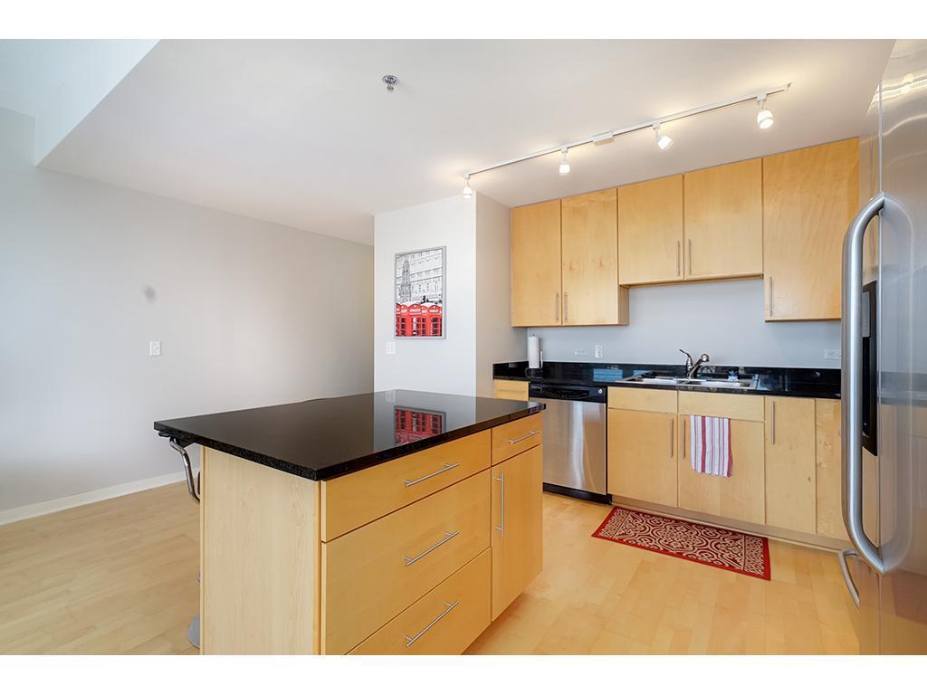 929 Portland Avenue, Unit 1702 Minneapolis, MN 55404 - Photo 5 of 18