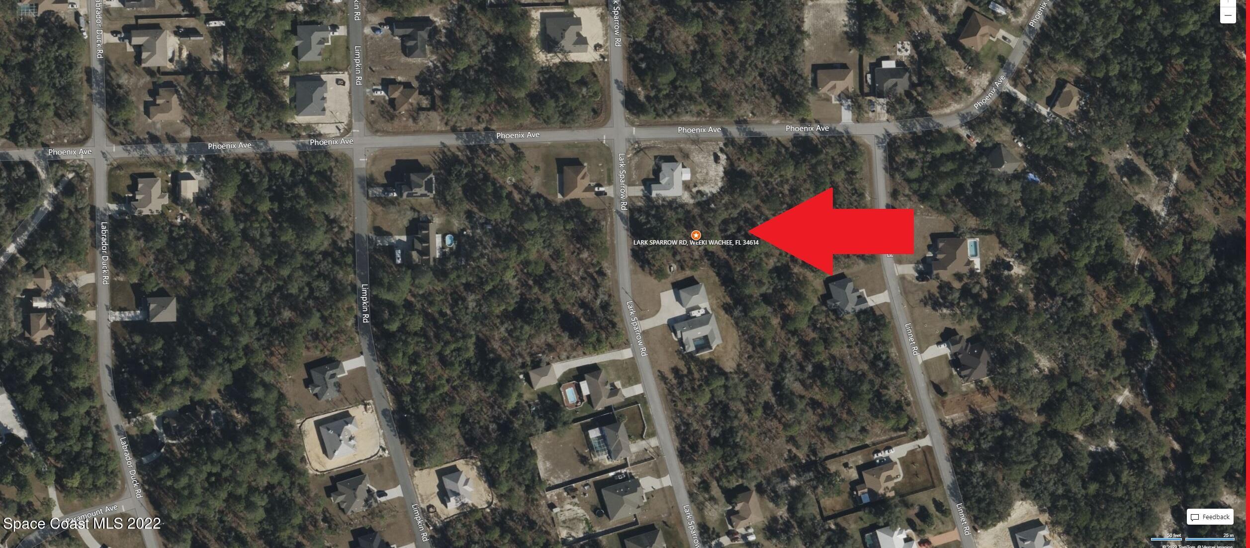 0 Lark Sparrow Road Weeki Wachee, FL 34614 - Photo 4 of 5 aerial 1