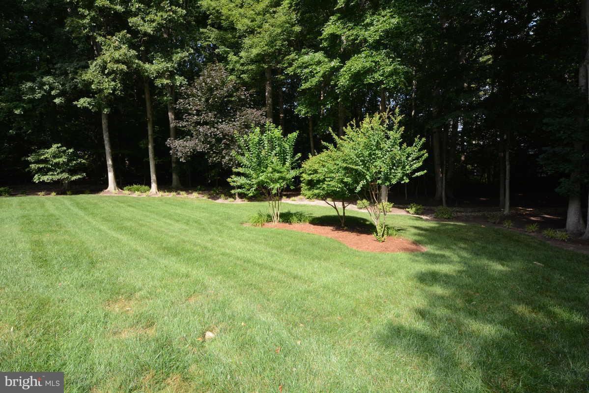 3810 Russell Road Woodbridge, VA 22192 - Photo 28 of 30 Exterior (General)
