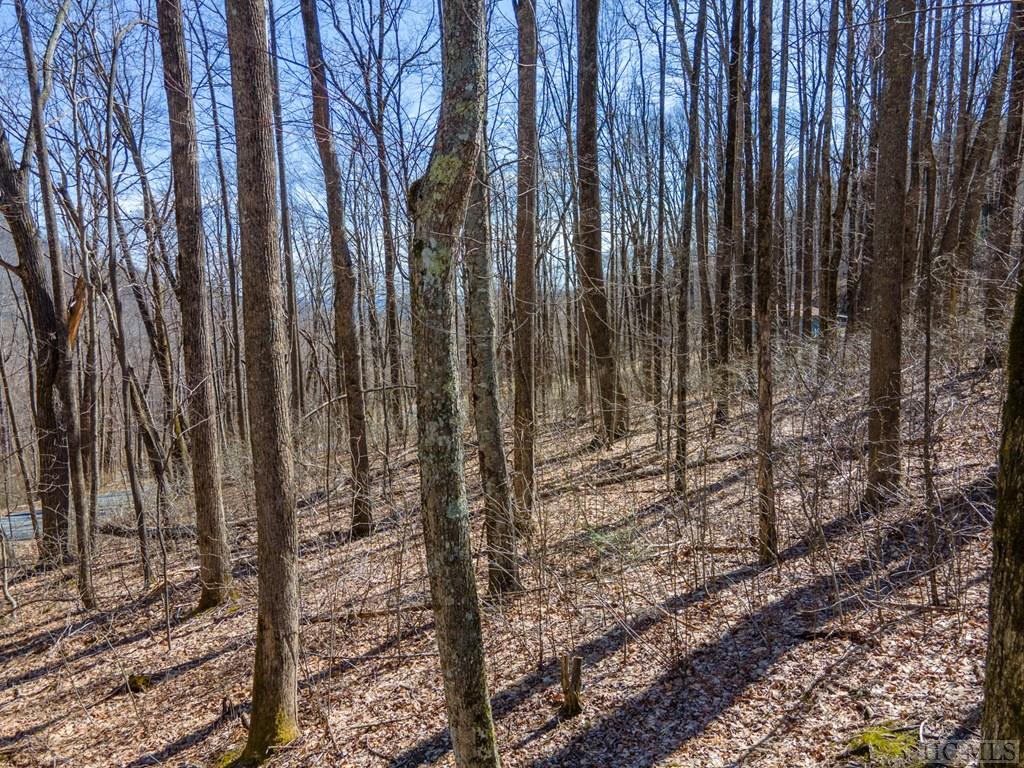 7390 Wayah Road Franklin, NC 28734 - Photo 59 of 66 Gallery Image 59