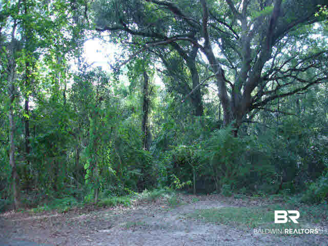 0 Franklin Road Foley, AL 36535 - Photo 9 of 18