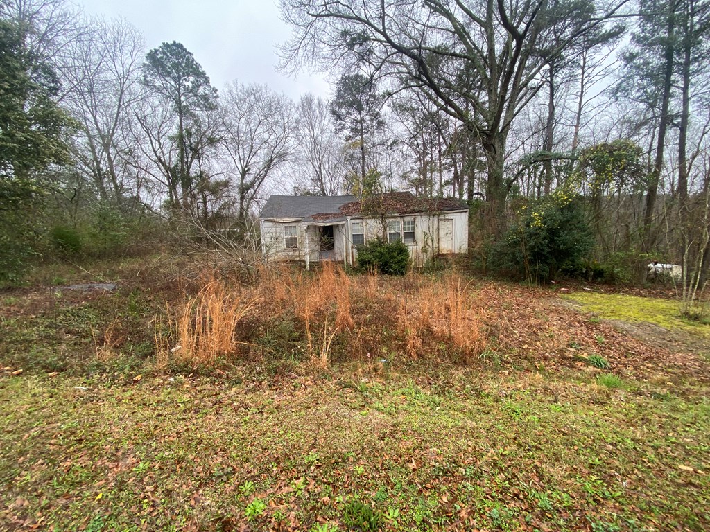 139 Brookfield Road Ozark, AL 36360 - Photo 4 of 4