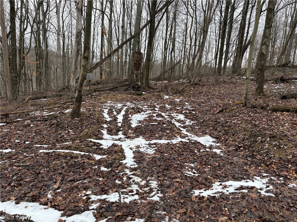0 Tract 4 Twp Road Woodsfield, OH 43793 - Photo 6 of 34 View of undeveloped land