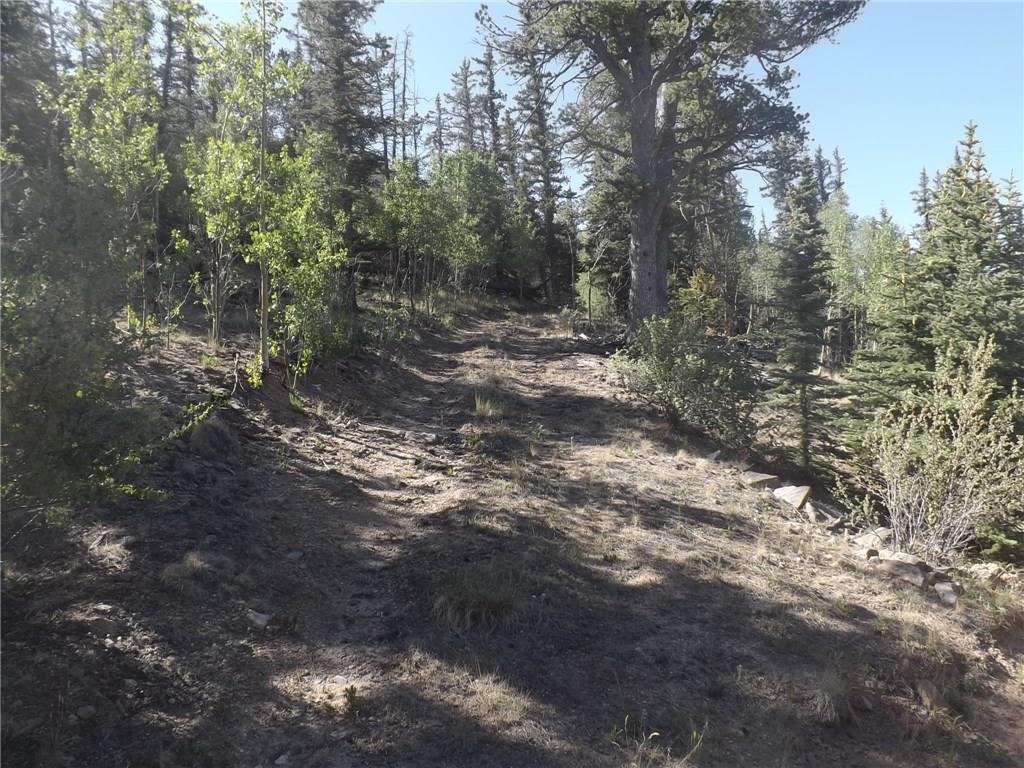 631 Bowstring Road Como, CO 80456 - Photo 2 of 24 Gallery Image 2