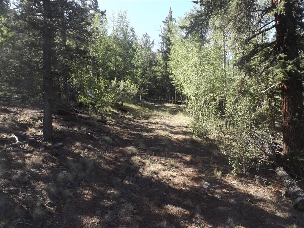 631 Bowstring Road Como, CO 80456 - Photo 13 of 24 Gallery Image 13