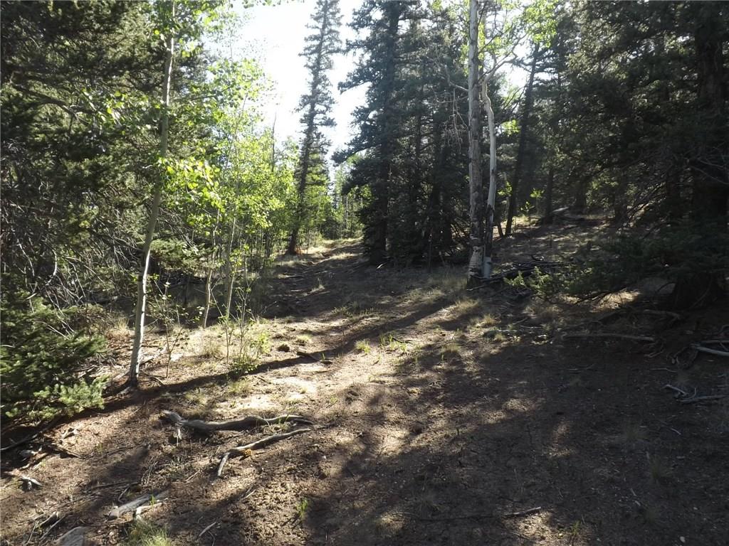 631 Bowstring Road Como, CO 80456 - Photo 14 of 24 Gallery Image 14