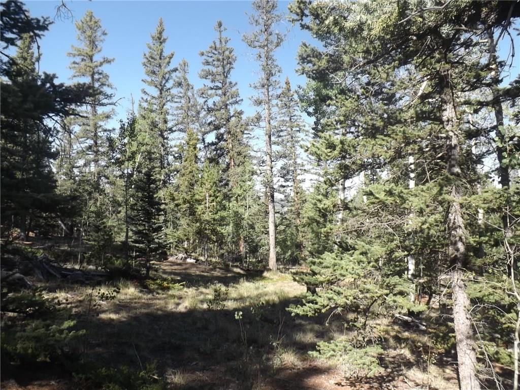 631 Bowstring Road Como, CO 80456 - Photo 18 of 24 Gallery Image 18