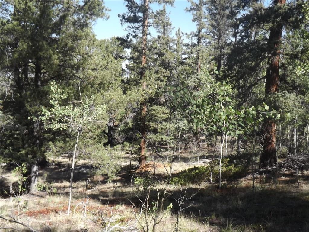 631 Bowstring Road Como, CO 80456 - Photo 19 of 24 Gallery Image 19