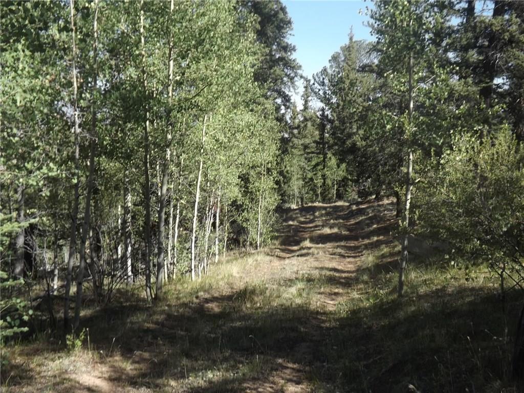 631 Bowstring Road Como, CO 80456 - Photo 20 of 24 Gallery Image 20