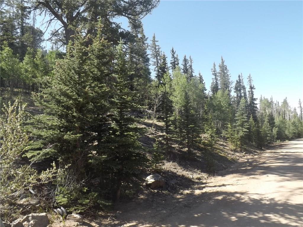 631 Bowstring Road Como, CO 80456 - Photo 3 of 24 Gallery Image 3