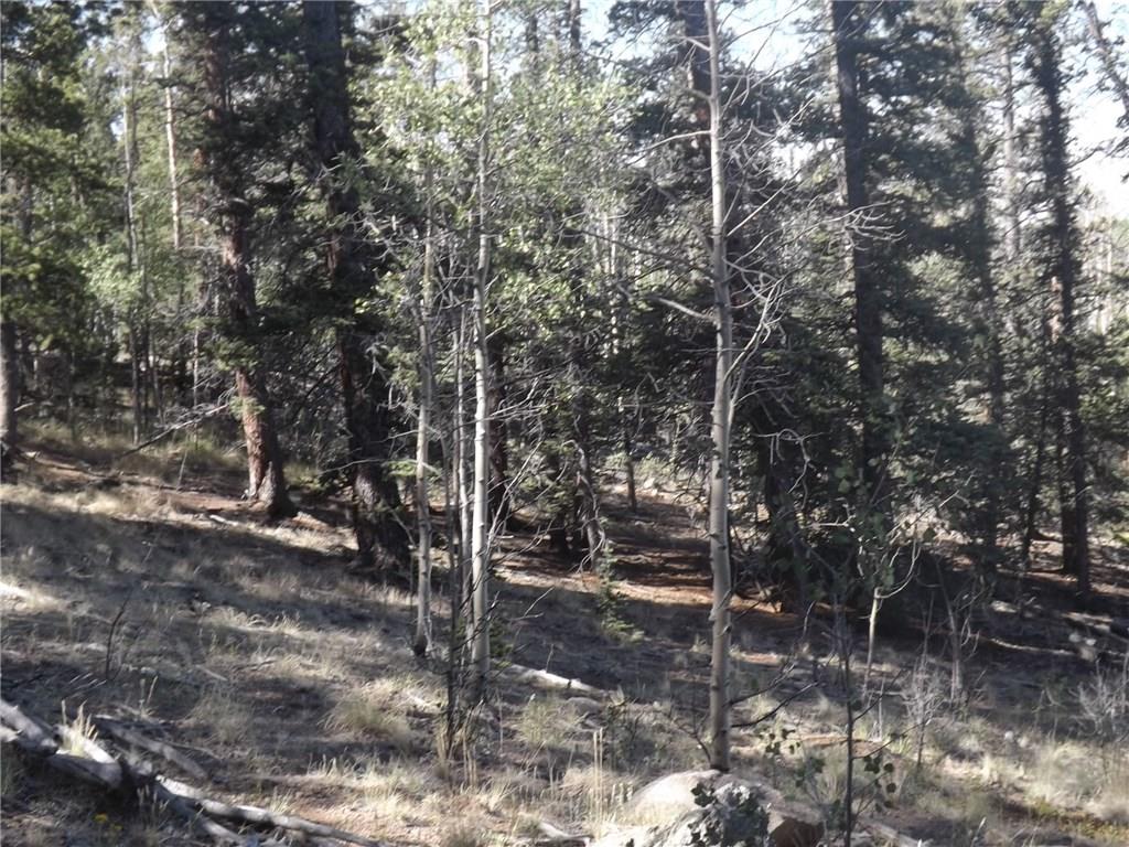 631 Bowstring Road Como, CO 80456 - Photo 6 of 24 Gallery Image 6