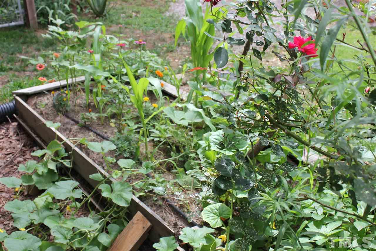 904 Chatham Lane Raleigh, NC 27610 - Photo 24 of 29 a backyard of a house with lots of green space