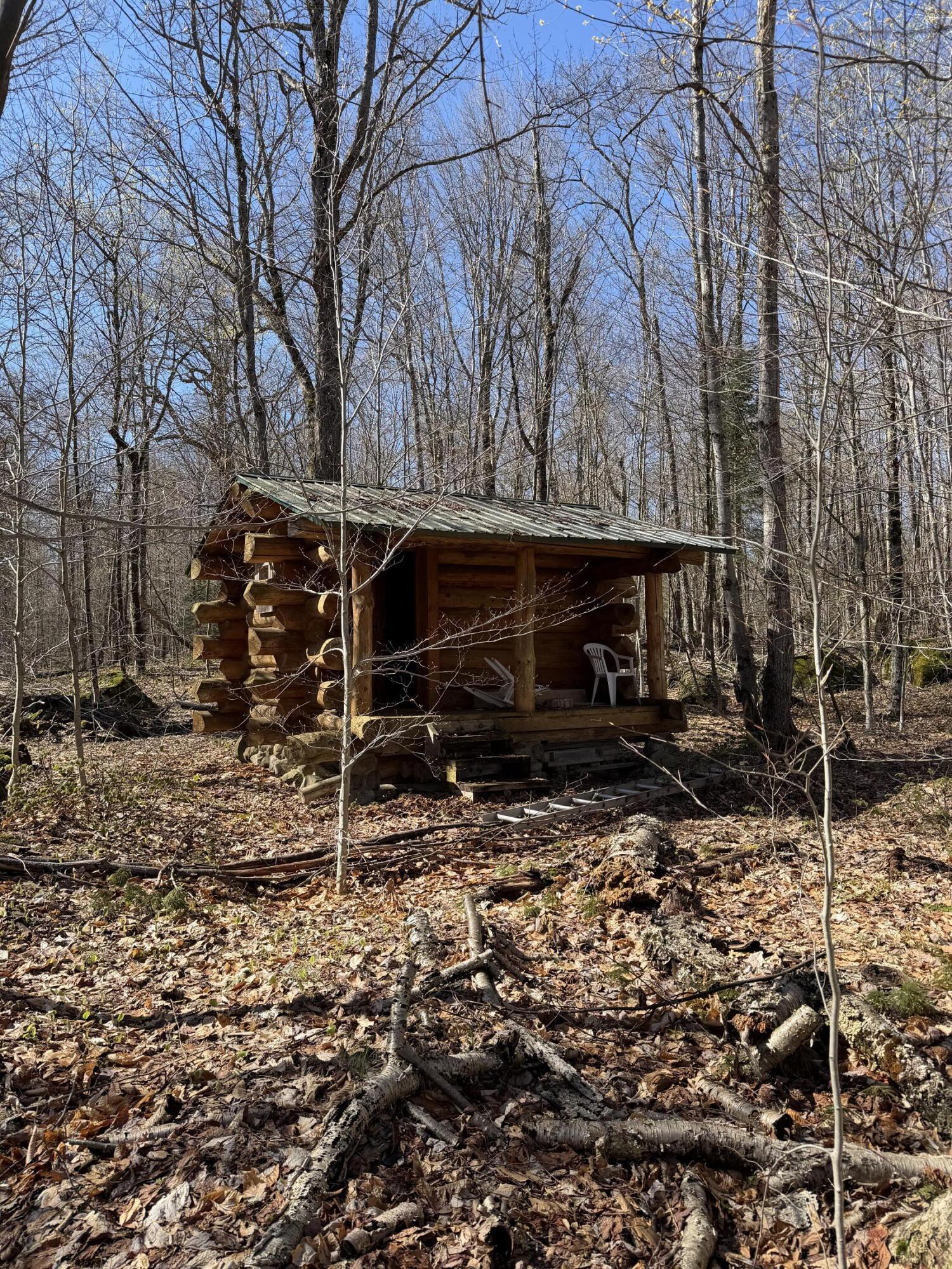 Lot #3 Station Rd-gull Pond Road Tupper Lake, NY 12986 - Photo 4 of 5 Cabin