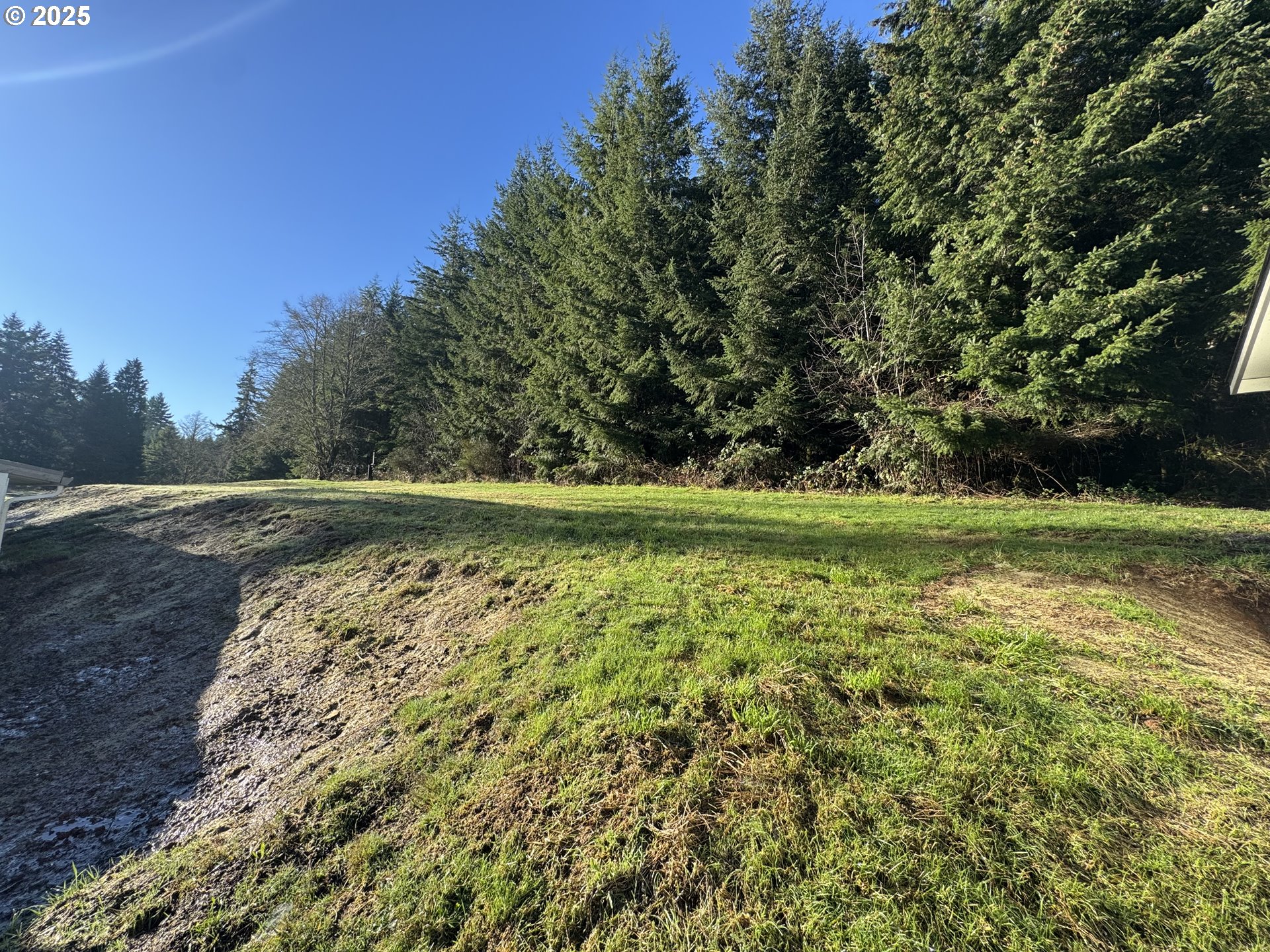 73345 Apiary Road Rainier, OR 97048 - Photo 25 of 44 a view of a field with an trees