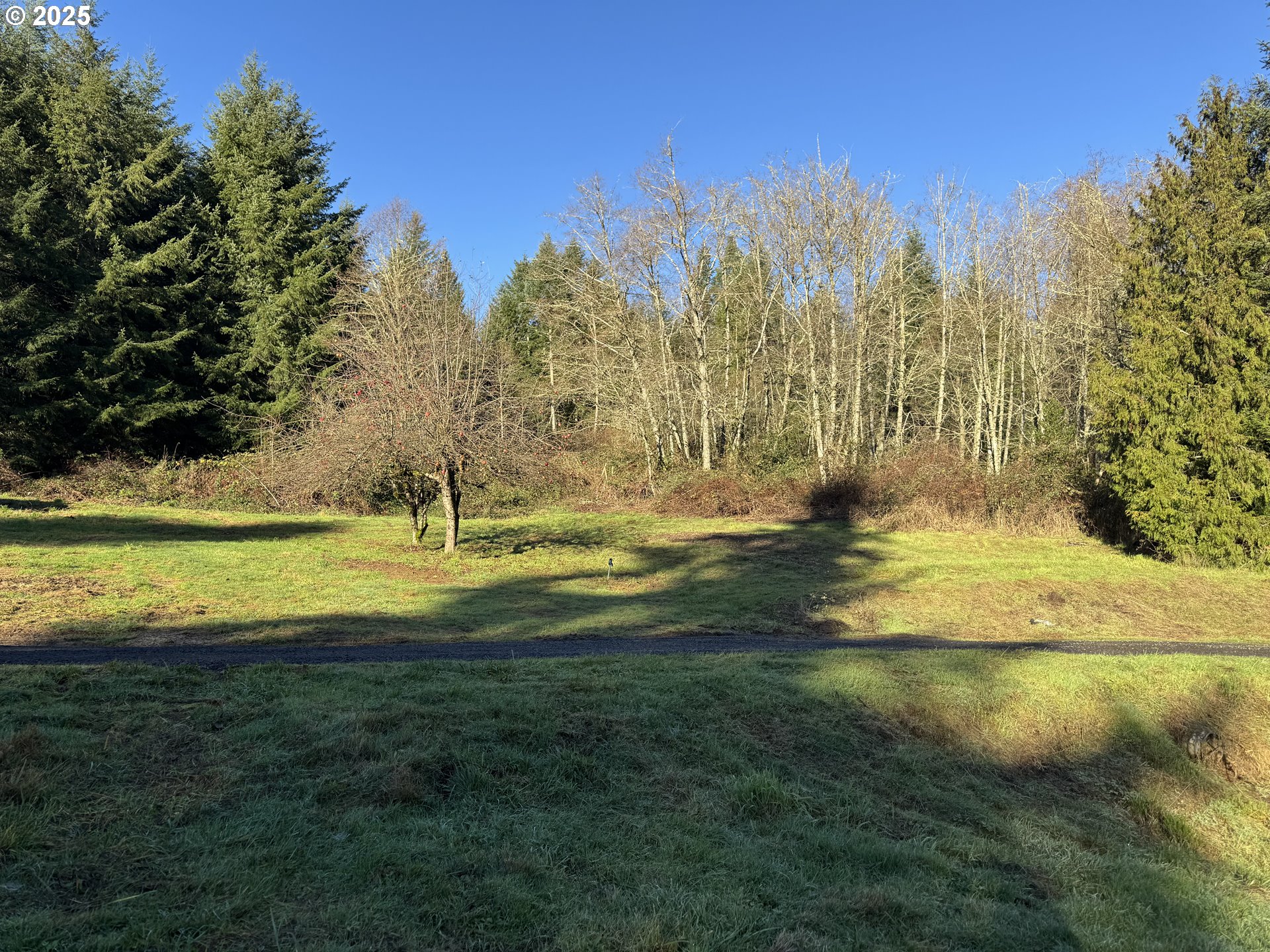 73345 Apiary Road Rainier, OR 97048 - Photo 29 of 44 a view of yard with green space